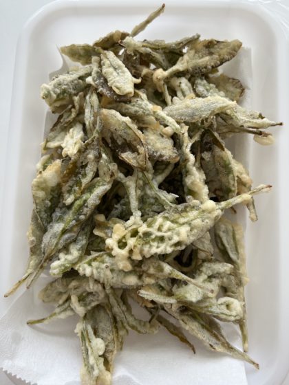 年中組は長年お世話になっている茶園さんにお茶摘みに行きました。お茶の葉を摘んだり、匂ったり、食べてみたり。五感を研ぎ澄ませられる最高の活動です。今年は初めて「葉っぱを天ぷらにしたら美味しいよ」と教えていただき、早速給食の先生にご相談。「いいですよー」と嬉しい返事をいただき、アツアツのお茶の天ぷらをみんなで食べました。食べず嫌いの子も最後は何度もおかわりにきました。貴重な体験をこれからも大切にしていきます。