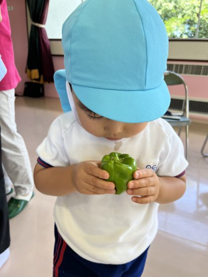 ２歳児です。くんくん匂っています。可愛いです。