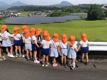 園の近くには田んぼがあります。定期的に稲の成長を見に行っています。自然がたくさんの環境はありがたいですね。