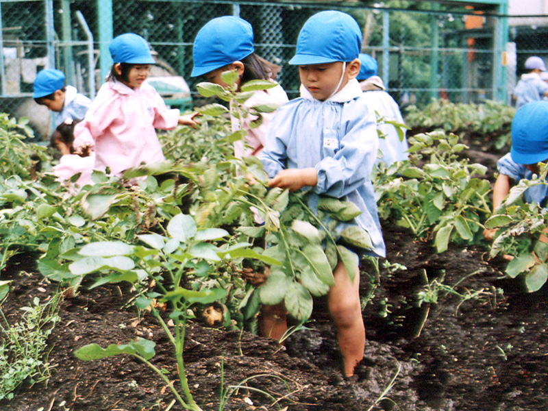 みんなでじゃがいも掘り